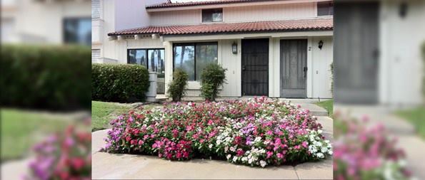 Mountain Shadows, Palm Springs Condo Rental